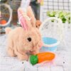wind up rabbit toy - Image 5