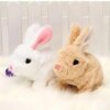 wind up rabbit toy