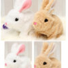 wind up rabbit toy - Image 4