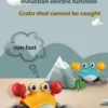 Smart Sensor Robotic Crab - Image 3